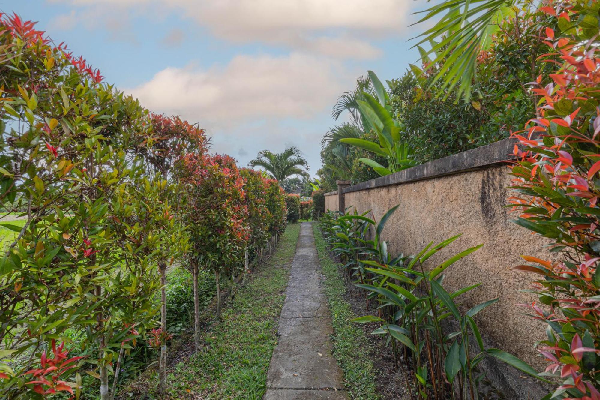 Niluh Private Villas Ubud Esterno foto